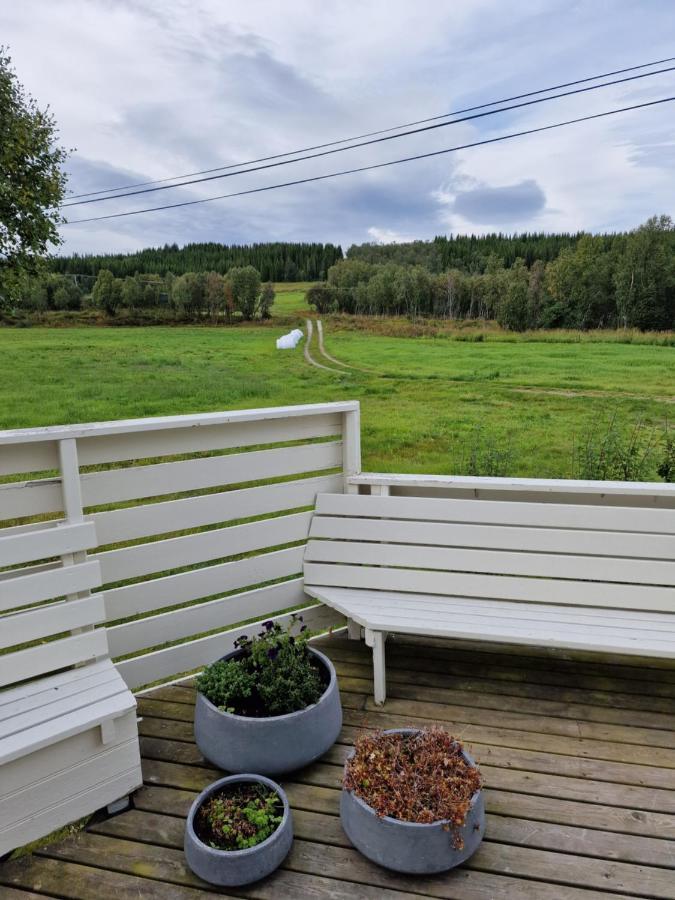 Warm And Cozy Cottage, Great Location Kvaloya Buitenkant foto