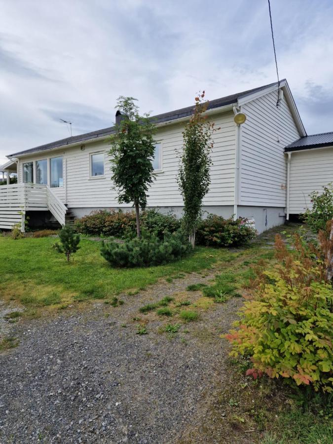 Warm And Cozy Cottage, Great Location Kvaloya Buitenkant foto