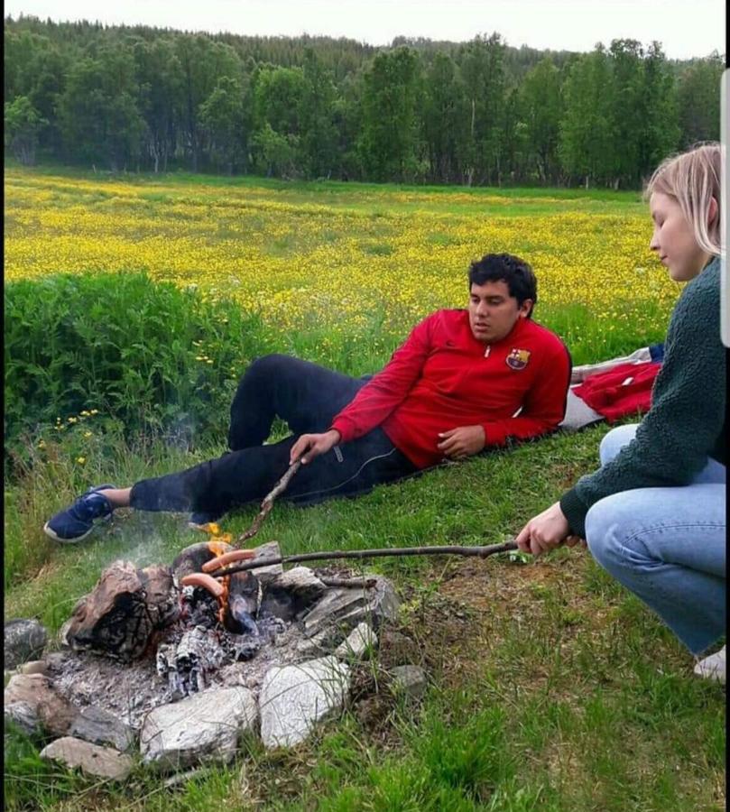 Warm And Cozy Cottage, Great Location Kvaloya Buitenkant foto