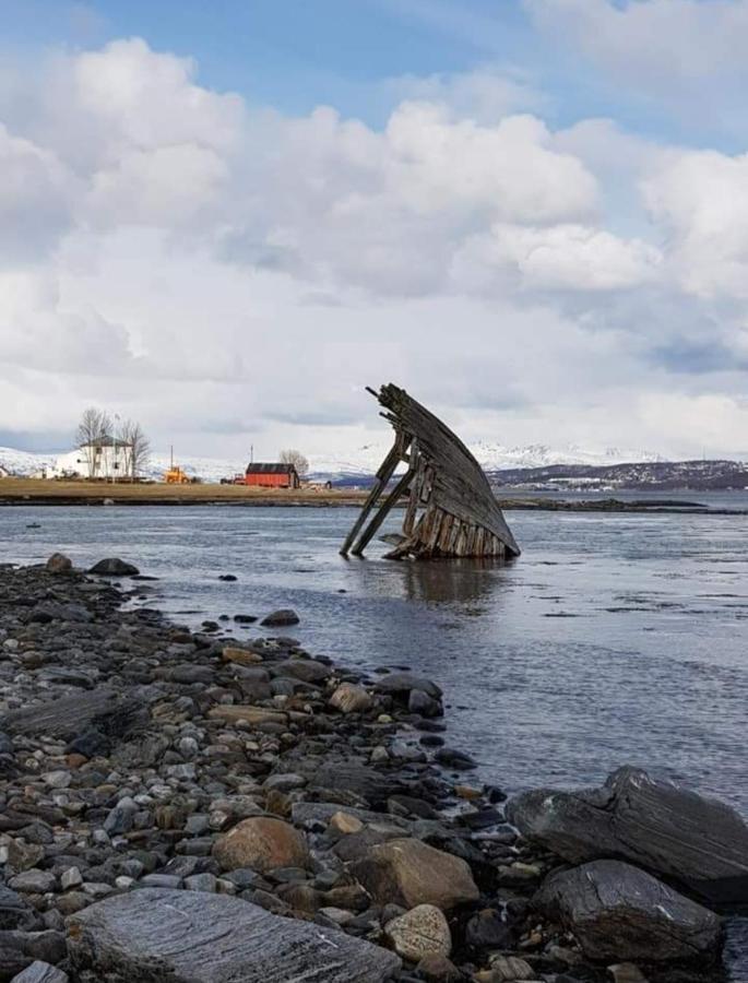 Warm And Cozy Cottage, Great Location Kvaloya Buitenkant foto